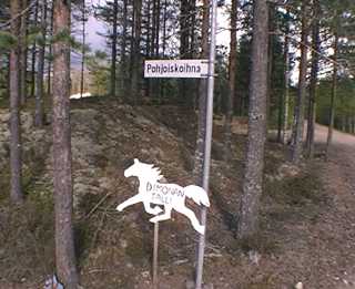 pohjoiskoihna2